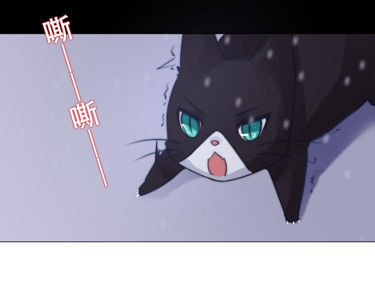 第8话 猫的报恩（下）