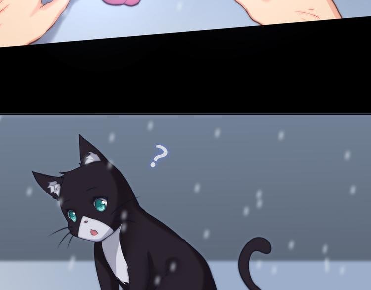 第8话 猫的报恩（下）