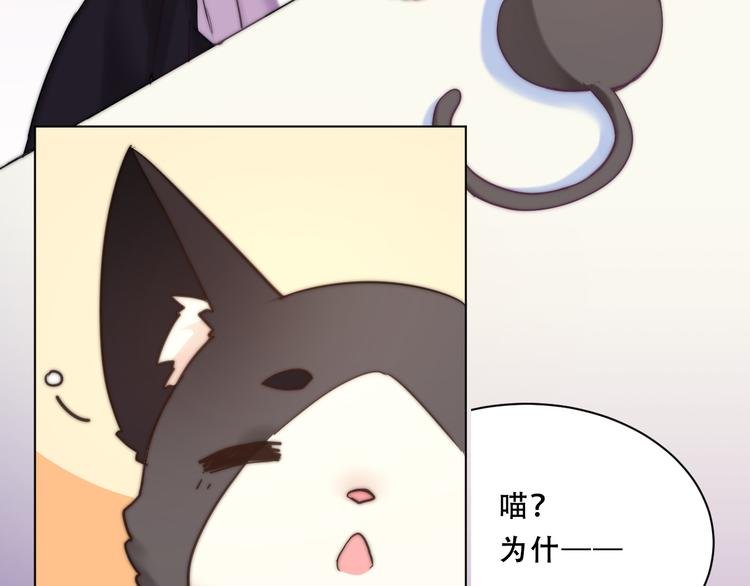 第7话 猫的报恩（上）