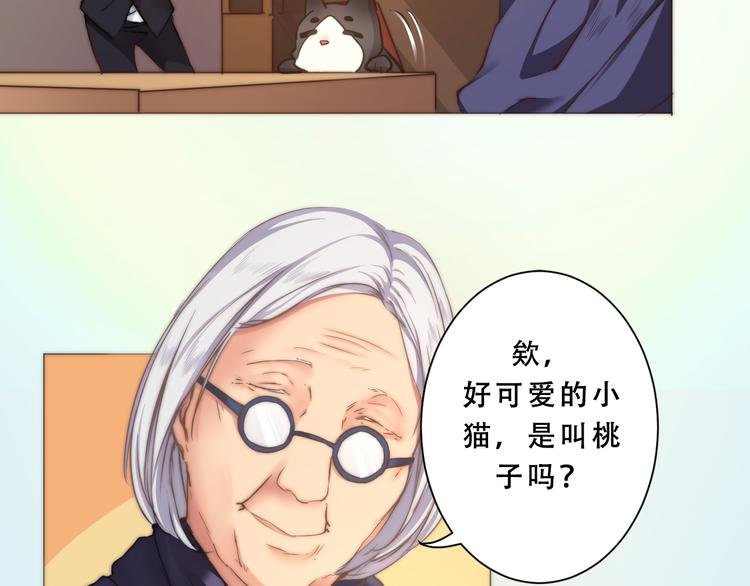 第7话 猫的报恩（上）