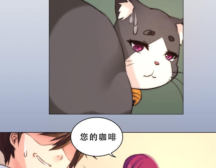 第7话 猫的报恩（上）