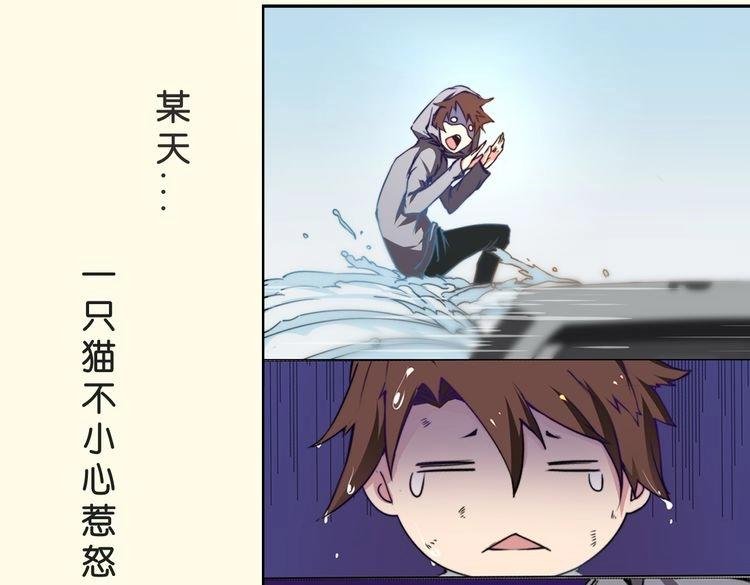 角色设定