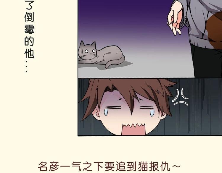 角色设定