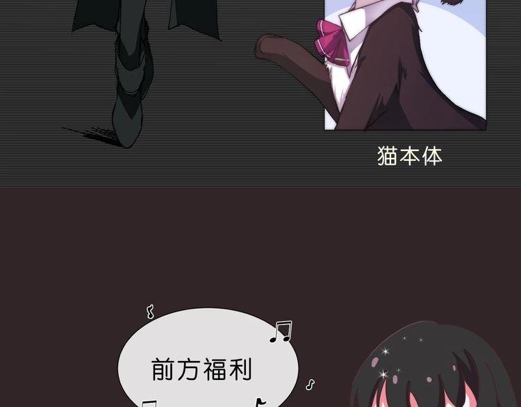 角色设定