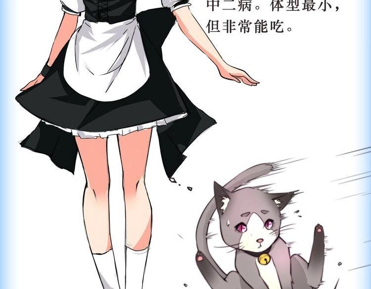 角色设定