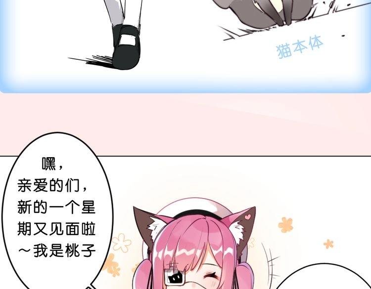 角色设定