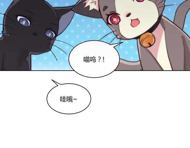 第5话 猫爪下的金鱼（下）