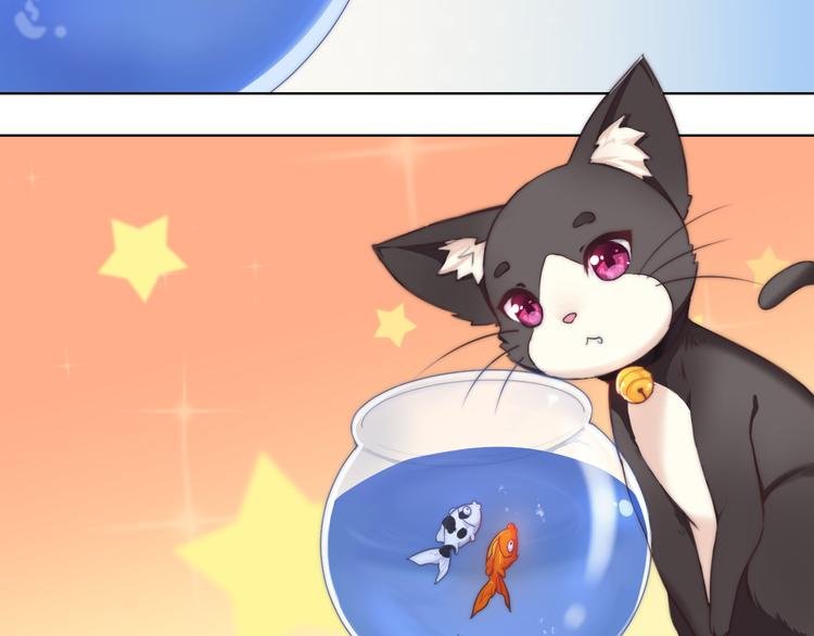 第5话 猫爪下的金鱼（下）