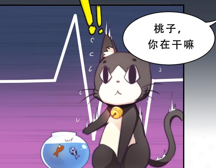 第5话 猫爪下的金鱼（下）