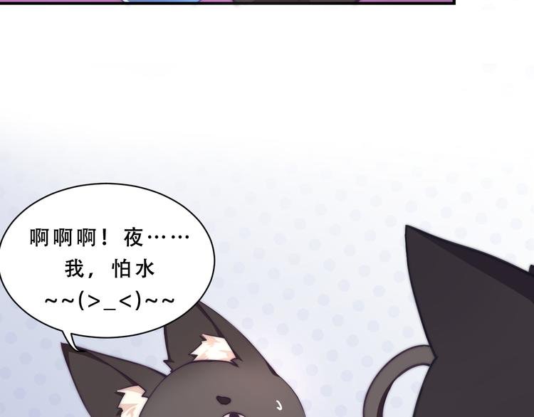 第5话 猫爪下的金鱼（下）