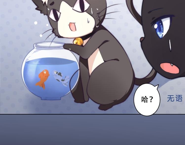 第5话 猫爪下的金鱼（下）