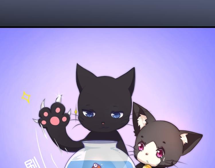 第5话 猫爪下的金鱼（下）