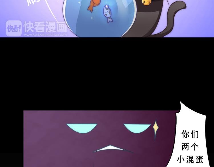第5话 猫爪下的金鱼（下）