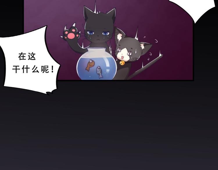 第5话 猫爪下的金鱼（下）