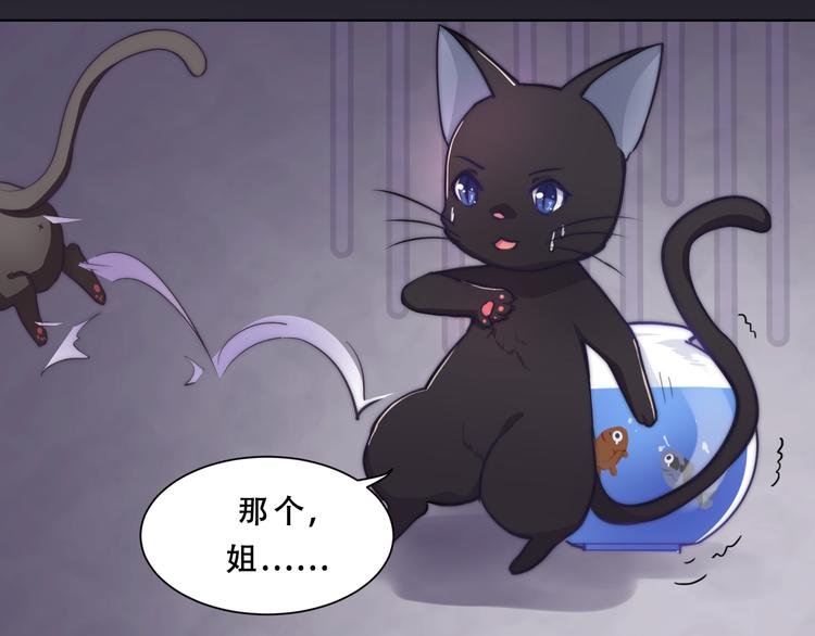 第5话 猫爪下的金鱼（下）