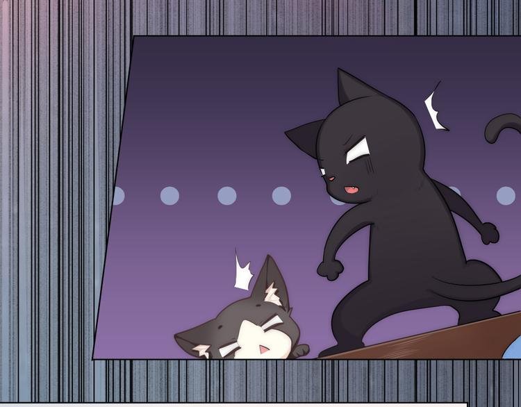 第5话 猫爪下的金鱼（下）