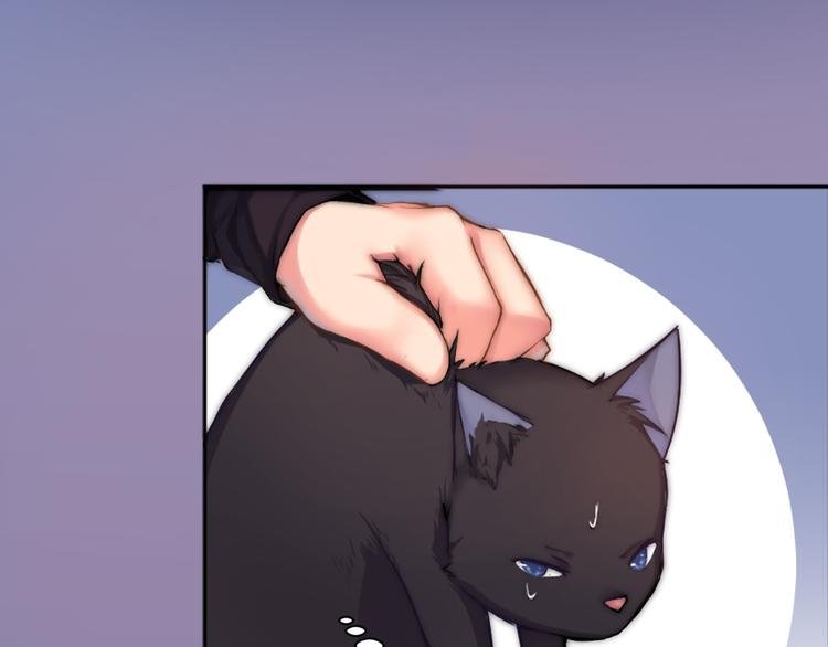 第5话 猫爪下的金鱼（下）