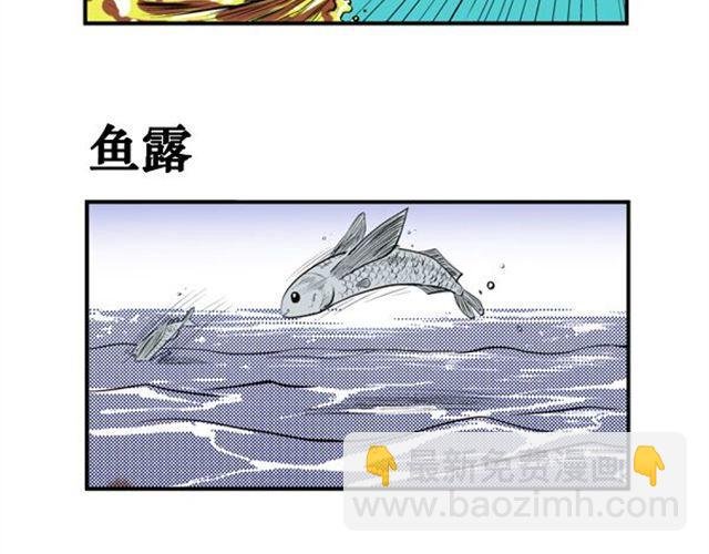第14话 单身狗