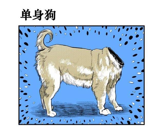 第14话 单身狗