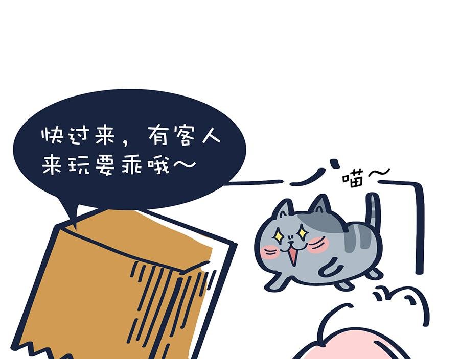 香水与Tony猫
