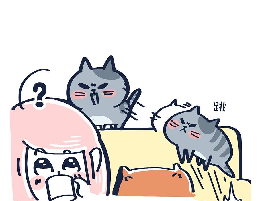 香水与Tony猫