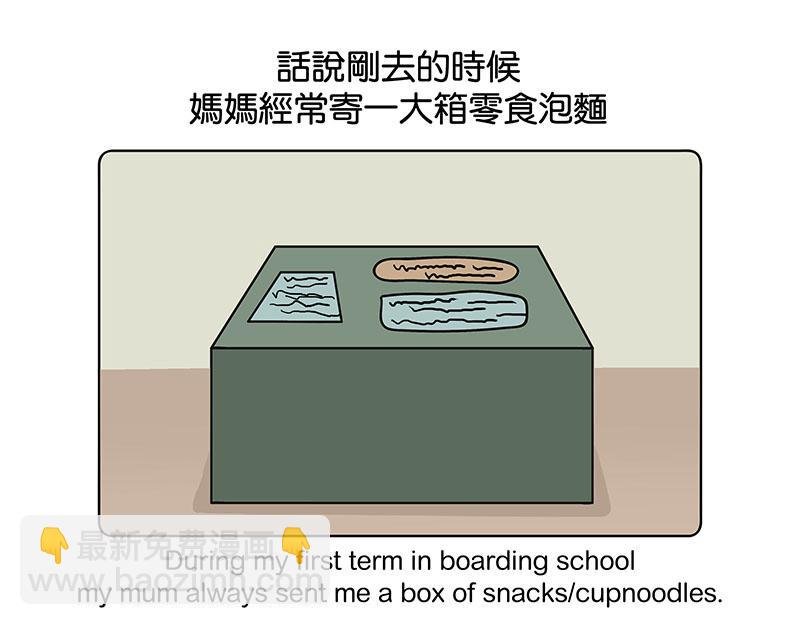 白牛