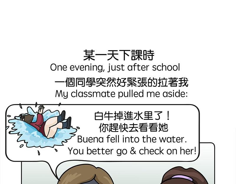 白牛