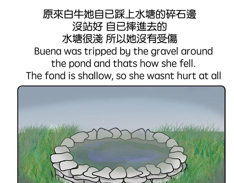 白牛