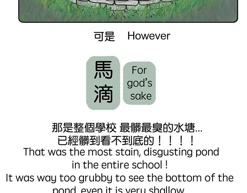 白牛