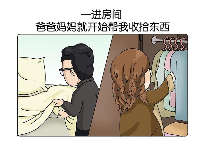我的室友们