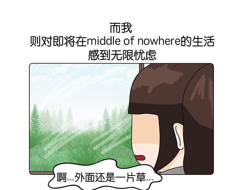我的室友们
