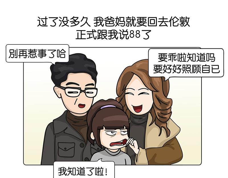 我的室友们