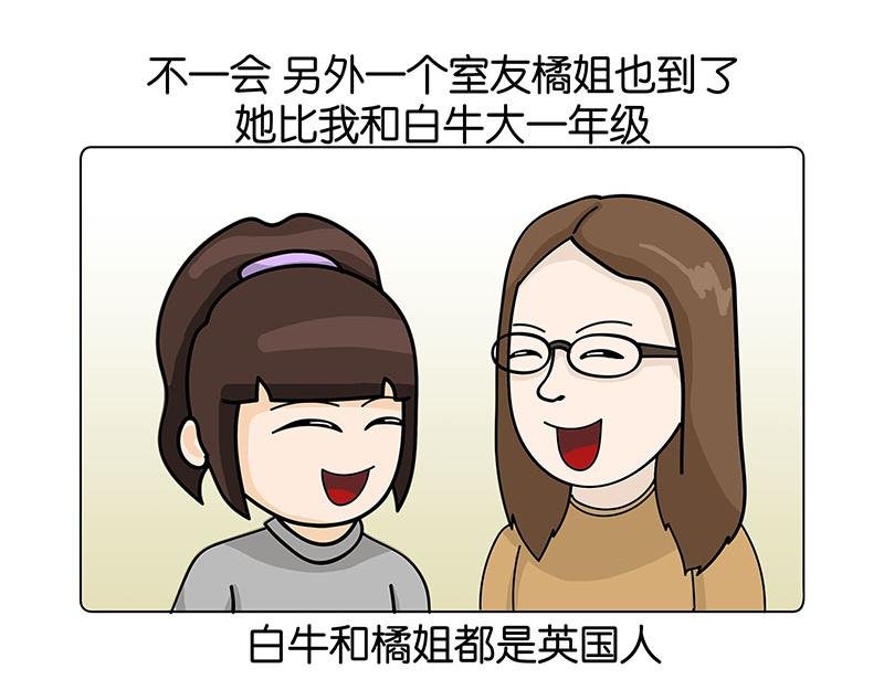 我的室友们