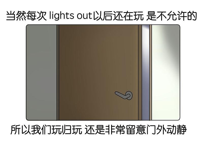 我的室友们