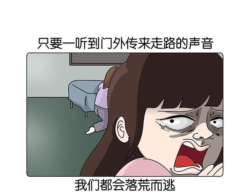 我的室友们