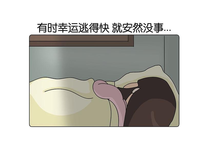 我的室友们