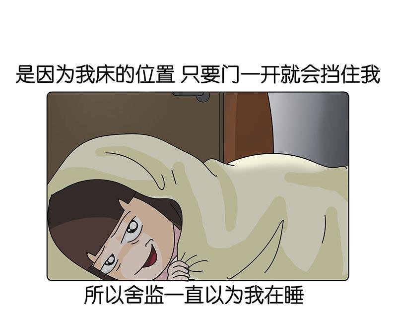 我的室友们