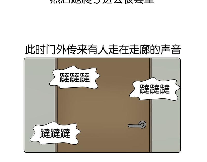 我的室友们