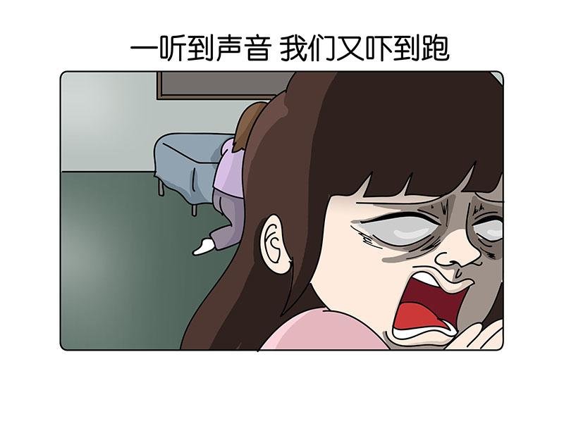 我的室友们