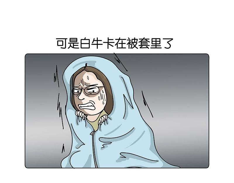 我的室友们