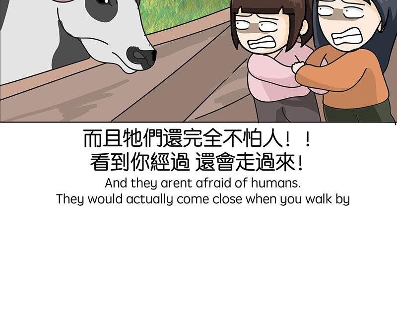 住在村里的日子