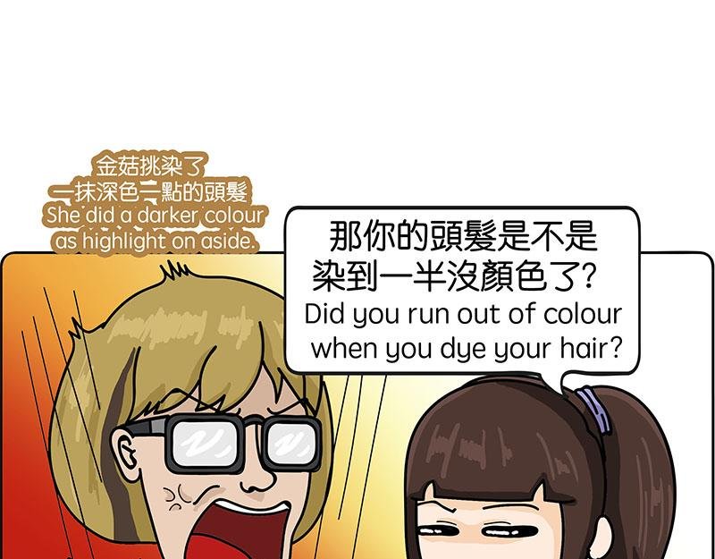 金菇与我