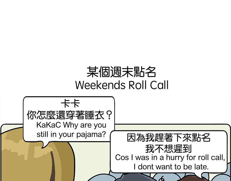 金菇与我