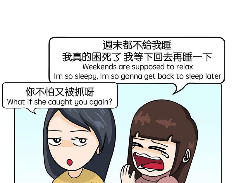 金菇与我