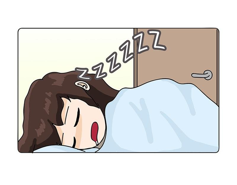 金菇与我