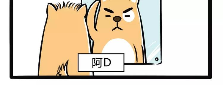 第2话 阿D剪头发
