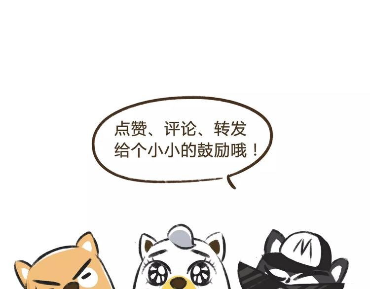 第11话 狗游记（1）