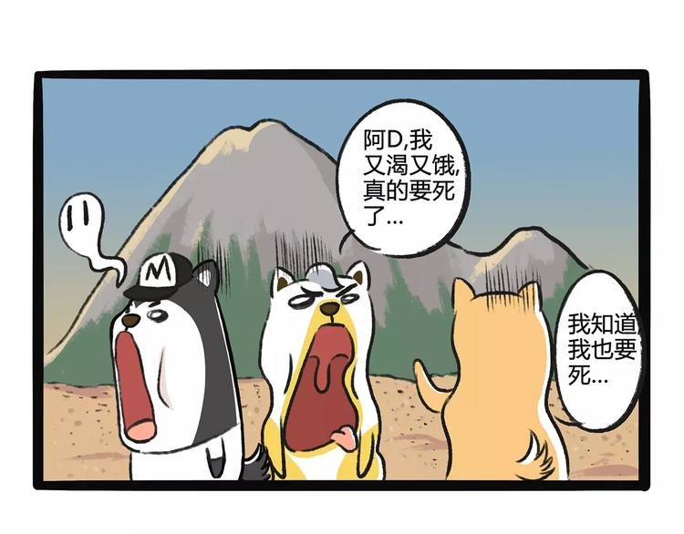 第9话 鲁滨狗
