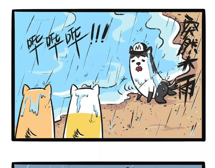 第9话 鲁滨狗