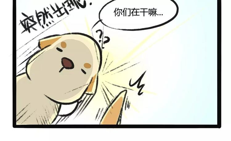 第9话 鲁滨狗